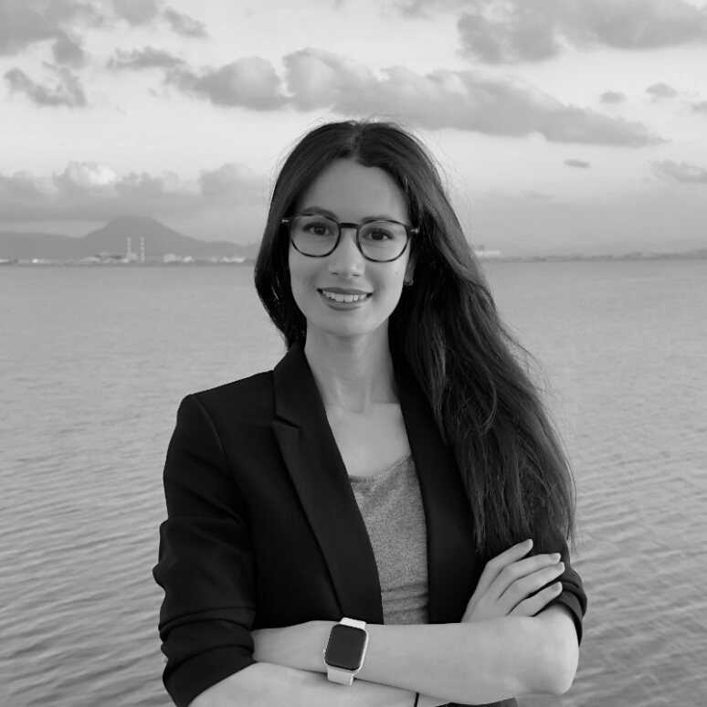 Fairouz Dridi, Screen Hustler